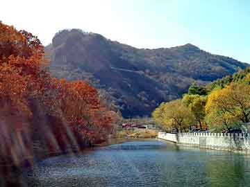 新澳门二四六天天彩，岐山seo论坛